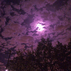 Forrest Gump (Frank Ocean Cover) - Ft. Natalie Crane