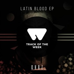 The Dirty Playerz & Synthed Minds - Guajiro (Original Mix)