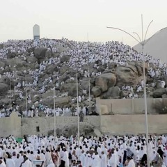 عرفة المعظم زمانًا ومكانًا | د أحمد سيف