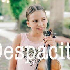 Despacito voilin - Karolina Protsenko