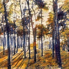 PITR - DREAMY EYES -- HARD TO FRAME(PITR REMIX)