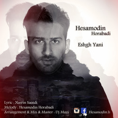 Hesamodin - Eshgh Yani