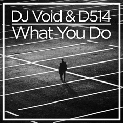 DJ Void & D514 - What You Do