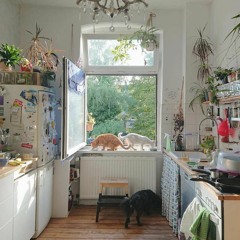 Pale Blue Eyes // The Velvet Underground