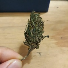 PAN