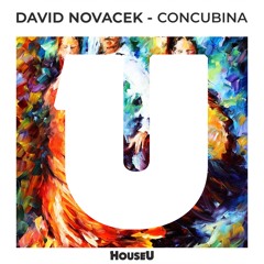 David Novacek - Concubina (Original Mix)