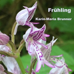 Frühling