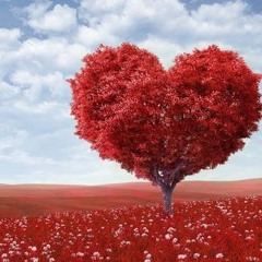 Love And Love Remix Song Brunomars Justin Timberlake Ed Sheran and Martin Garix