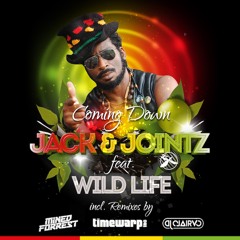 2. Jack & Jointz Feat. Wild Life - Coming Down (Mined & Forrest Remix)