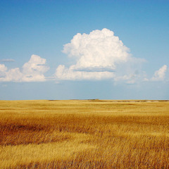 The plains of the west