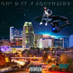 Snake Blind (Prod.T.ASH)