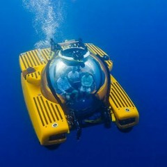 Submarine Terror