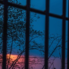 Going Through the Motions - Tomorrow's Today