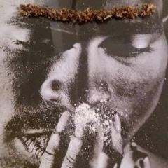 Vincent Van VinyL