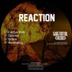 Reaction - Spooky (SA008) [DIRTYBEATS PREMIERE]