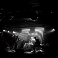 Limbs of the Stars - Falling for Falling's Sake (live)