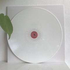 B1. Past Frozen Whirlpools and the Dark Zone Mind (From SL003)