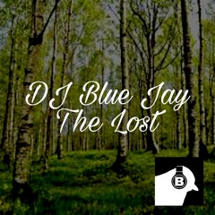 DJ Blue Jay - The Lost (Original Mix)