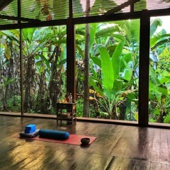 Transcendental Balance