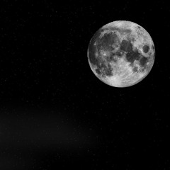 Fly Me to the Moon - Amy