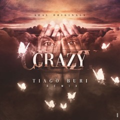 Crazy - Seal ( Tiago Buri Remix )