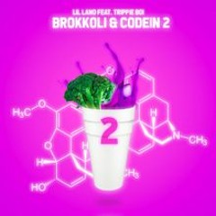 Lil Lano & Trippie Boi - Brokkoli + Codein 2.0💚💜