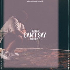 Can't Say Freestyle (reprod. by Tre RooH)