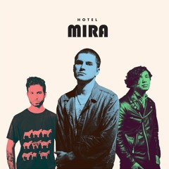 Hotel Mira - Ginger Ale
