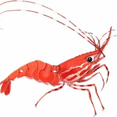 SWIM DUBS - SHRIMPS (free download)