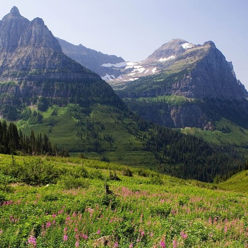 تلاوة خيالية للشيخ محمود علي البنا