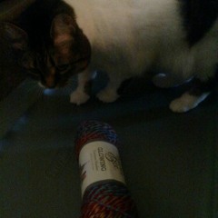 Crochet Hook / Yarny Goodness