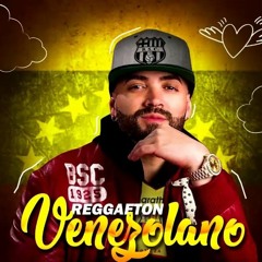 Seccion De Reggaeton - Asenina Remix - 2018 2019 - Dj Hendry