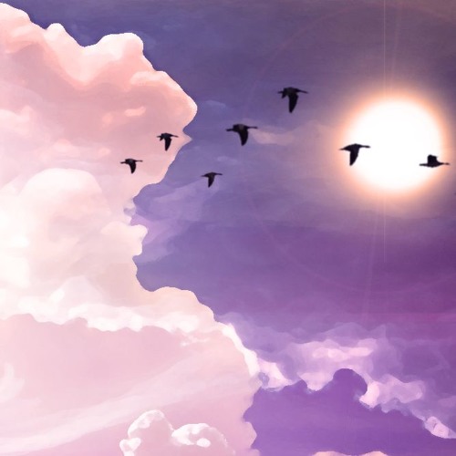 soar