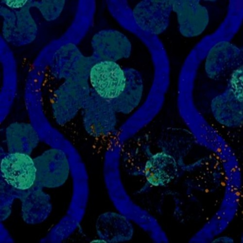 The Blue Abyss - SpongeBob Obstacle Odyssey (Wario Land 4 Soundfont)