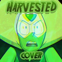 HARVESTED [Cover V3] 300 Follower Special