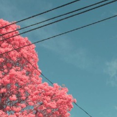 Dreaming of Oxy |/39\|