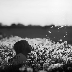 Bigasti & Eleonora - Baïkal (Original Mix)