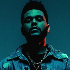 Privilege (.Wav Mix)