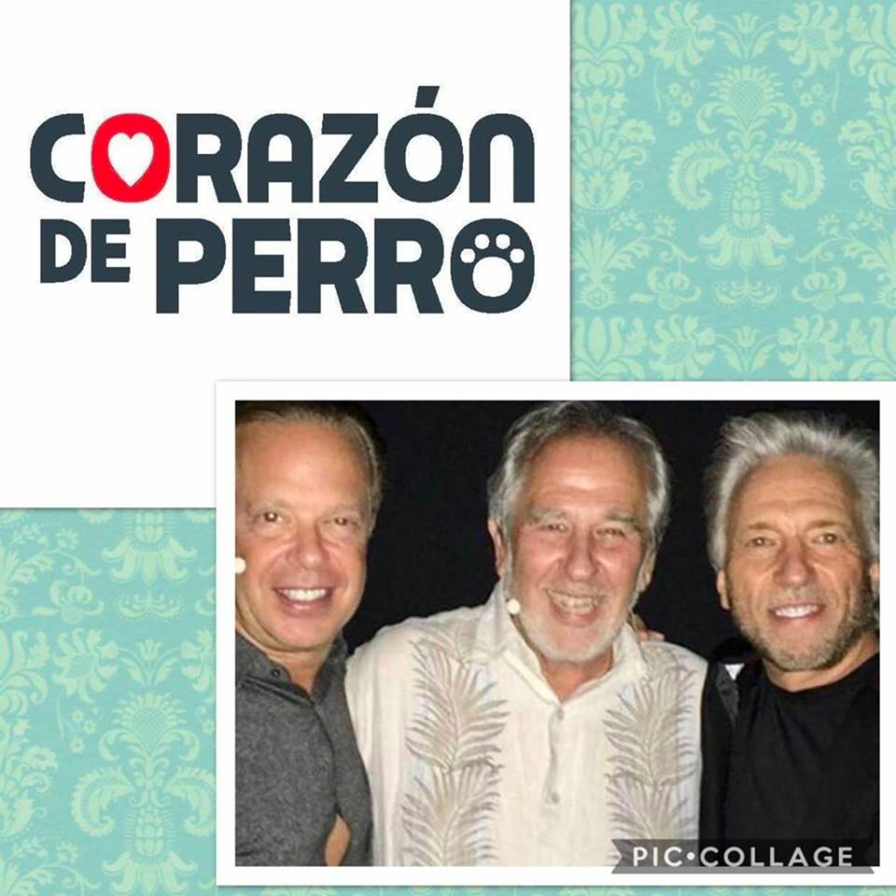 CORAZÓN DE PERRO Y LA ENTREVISTA AL DR. BRUCE H. LIPTON episode artwork