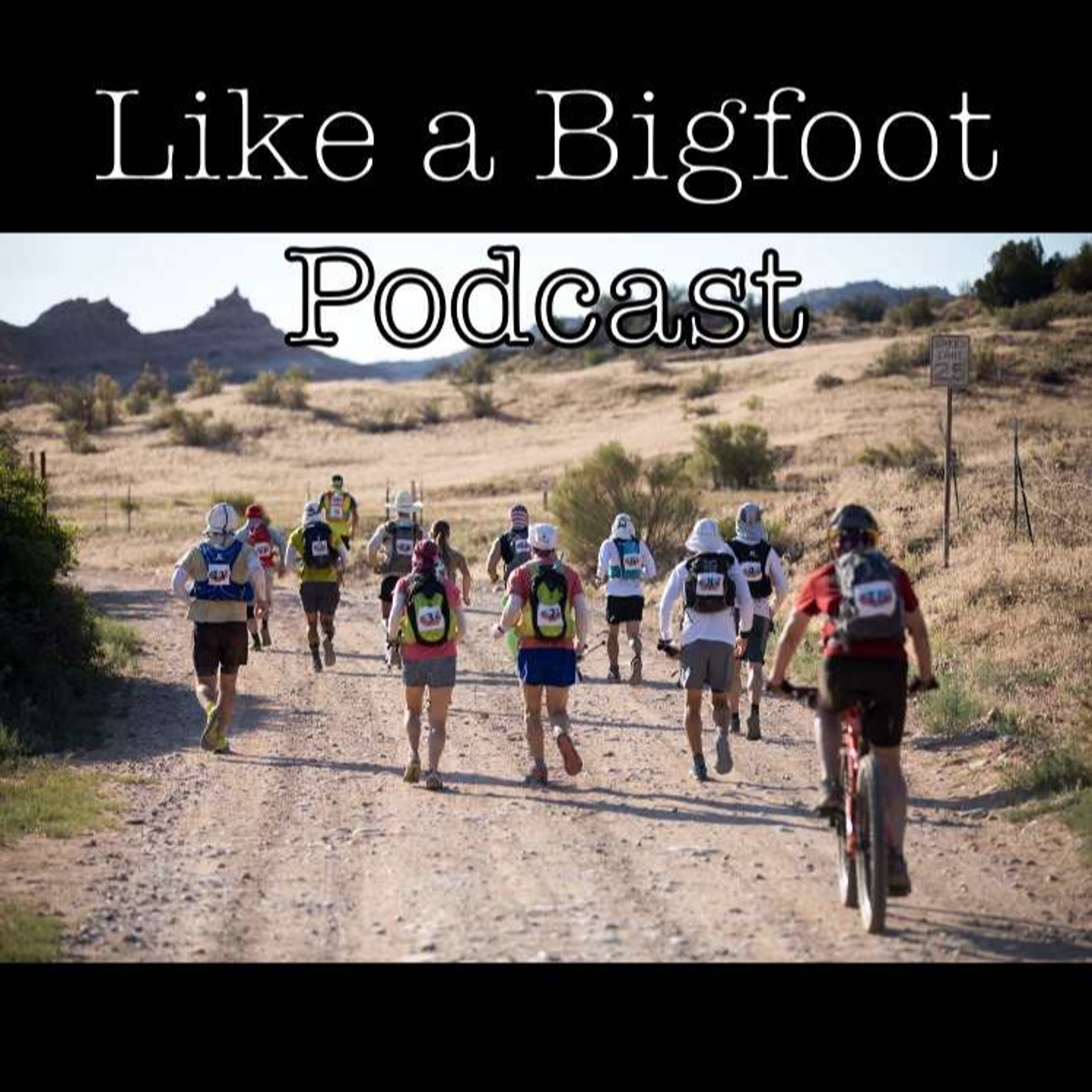 #107: Desert RATS 5 -- More Stories from my Fellow Racers, Final Thoughts from this Event episode artwork