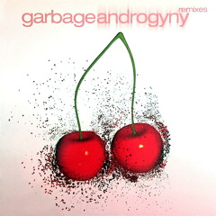 Androgyny (Klinefelter Mosaic Version) (Garbage cover)
