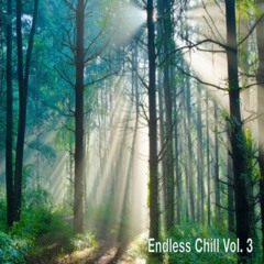 Endless Chill Vol. 3
