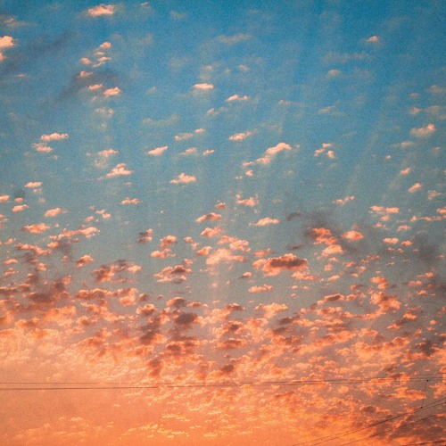 Rays
