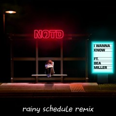 NOTD - I Wanna Know (rainy schedule remix)