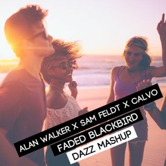 Alan Walker x Sam Feldt x Calvo - Faded Blackbird (DAZZ Mashup) [Free Download]