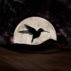 Midnight