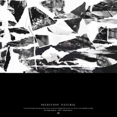 2 - SeleccionNatural - Struggle For Existence