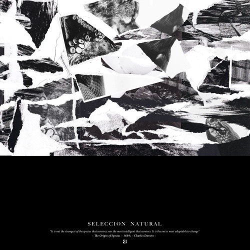 2 - SeleccionNatural - Struggle For Existence