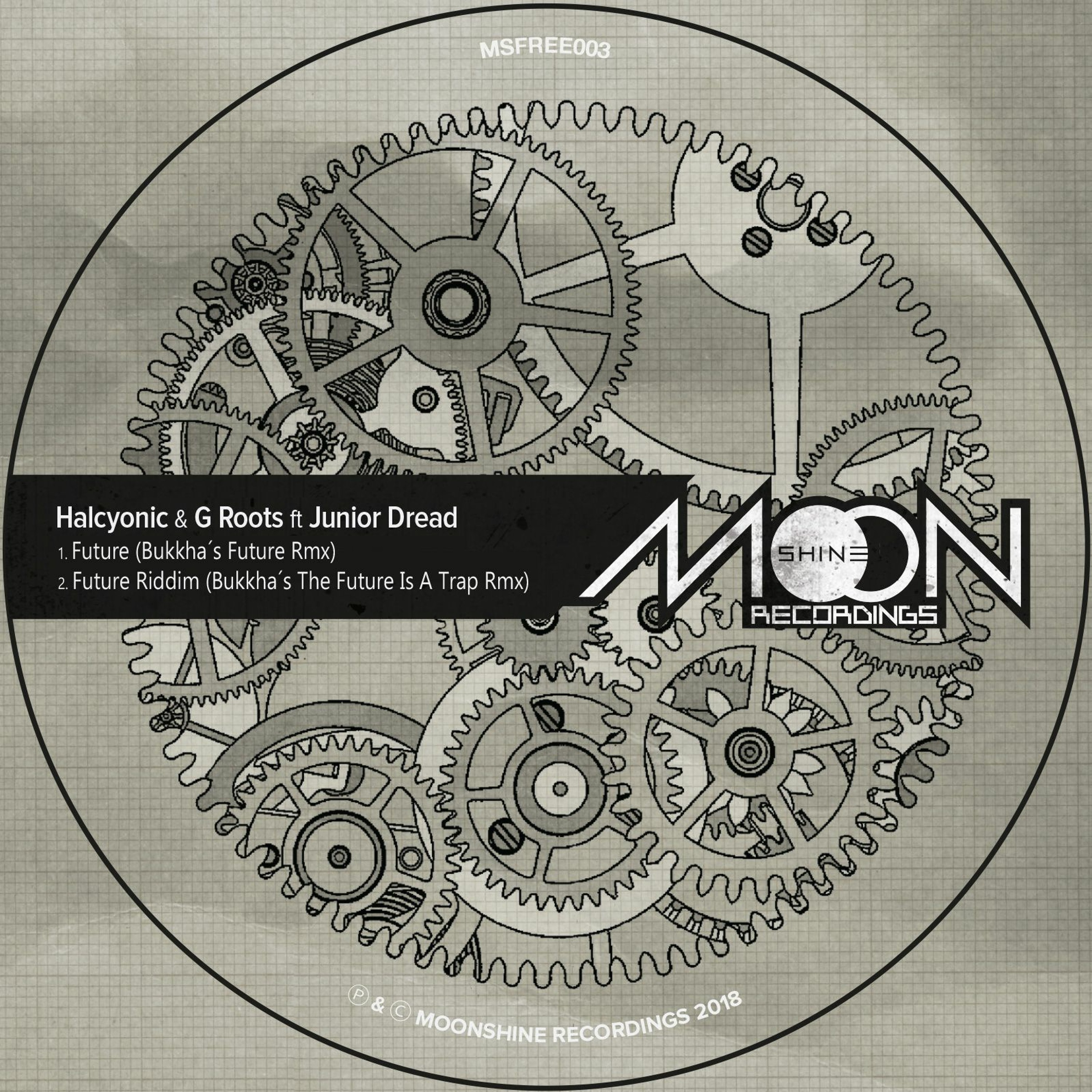 Halcyonic & G Roots Ft. Junior Dread - Future (Bukkha´s Future Rmx)*FREE DOWNLOAD episode artwork