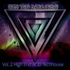 Into The Dublands Vol.2 - ACID Techhouse Digital